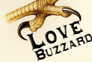 LOVE BUZZARD