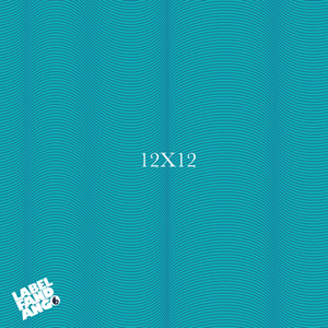 12 X 12 - Celebrating 12 Years Of Label Fandango - 