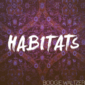 Boogie Waltzer - 